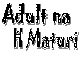 �A�_���g��H�Ղ�